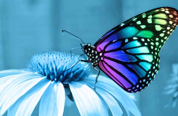 About Neurodiversity